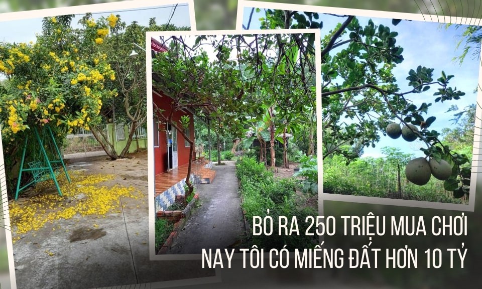 Tôi đi mua nhà: Bỏ ra 250 triệu mua chơi, nay tôi có miếng đất hơn 10 tỷ