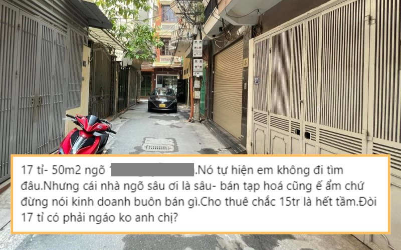 ngao-gia-1724038577.png