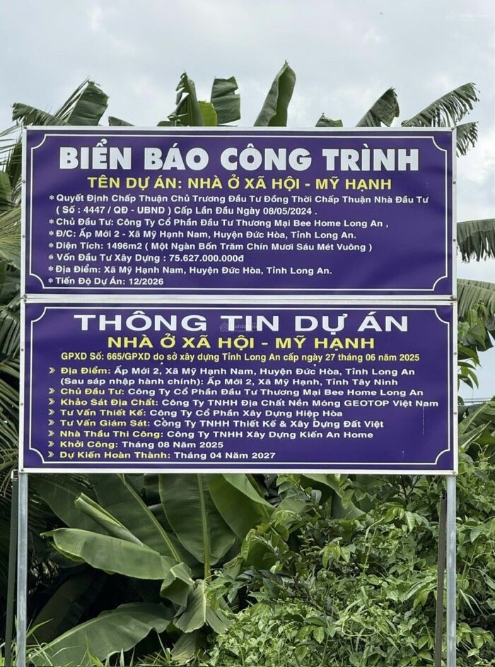 Hơn 31 triệu/m² cho nhà ở xã hội Bee Home Long An: Có phù hợp với thực tế thị trường?