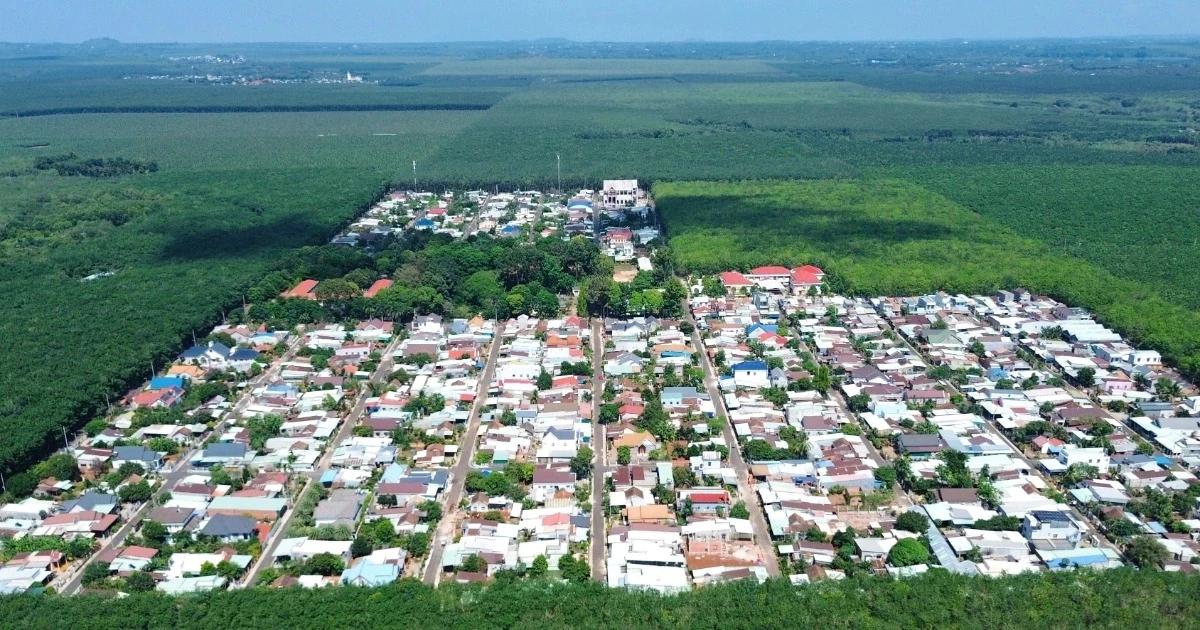 TP.HCM công bố loạt dự án khu công nghiệp quy mô lớn, có dự án tới 1.200 ha