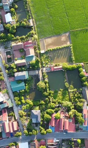 Đề xuất bỏ thuế 0,2% với đất lấn chiếm