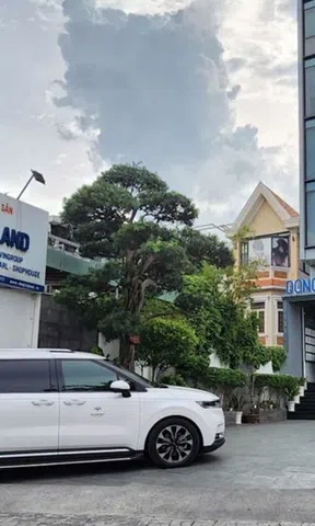 Đông Tây Land lên UPCoM với 80 triệu cổ phiếu, nợ thuế tăng lên hơn 29,1 tỷ đồng