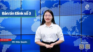 Bản tin thị trường Elink số 03 ngày 14/11/2025 - Cộng đồng môi giới bất động sản