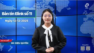 Dự báo giá nhà năm 2026: Phân khúc nào sẽ tăng giá ổn định?