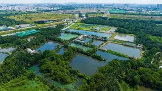 Dùng đất nông nghiệp để kinh doanh có phải đóng thuế đất phi nông nghiệp?
