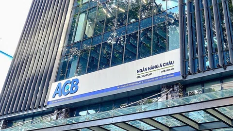 Thanh tra Chính phủ phát hiện gì trong hoạt động phát hành trái phiếu của ACB, VIB, OCB?