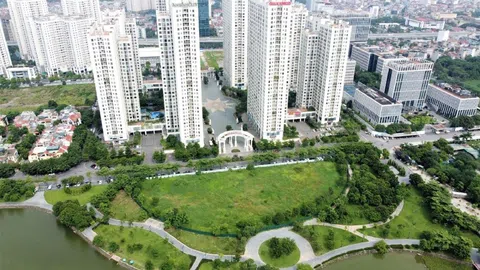 Thaco thâu tóm đất vàng Giao Lưu: Liệu đây có phải bước đi chiến lược của tỷ phú Trần Bá Dương?