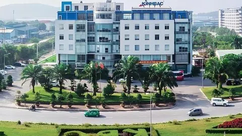 Doanh nghiệp bất động sản: Lãi tăng, nhưng cổ đông có được gì?