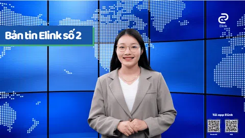 Bản tin thị trường Elink số 02 ngày 11/11/2025 - Cộng đồng môi giới bất động sản