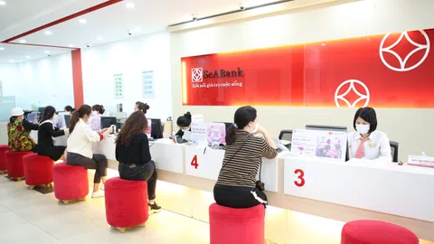 Thanh tra chỉ ra hạn chế trong công tác hoạt động tín dụng của SeABank Thái Nguyên?