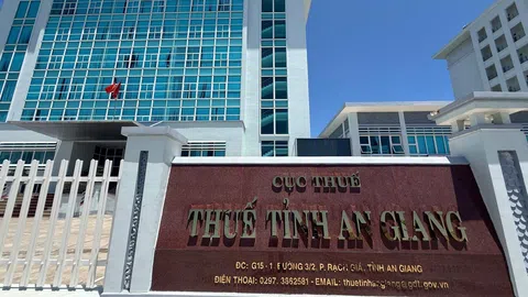 Vì sao Chi nhánh Công ty CP Hải Đăng tại An Giang nợ thuế hơn 2 tỷ đồng?