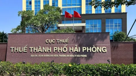 Nợ thuế quá 90 ngày, Công ty Cổ phần Vận tải Thủy bộ Trường Phát sẽ đối mặt những hệ lụy gì?