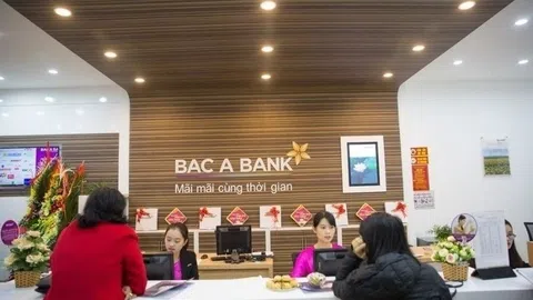 Thanh tra chỉ ra nhiều tồn tại tại BacABank Đồng Nai: Nguyên nhân do đâu?