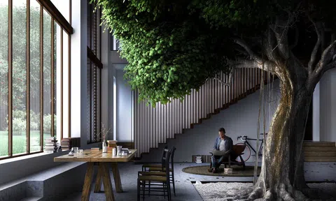 5 cách trang trí cây xanh trong nhà đẹp mà không đắt