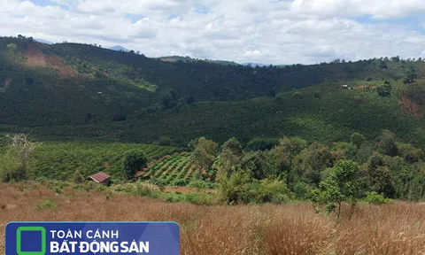 Nóng: Lâm Đồng ngưng giải quyết hồ sơ tách thửa đất, kỷ luật loạt cán bộ