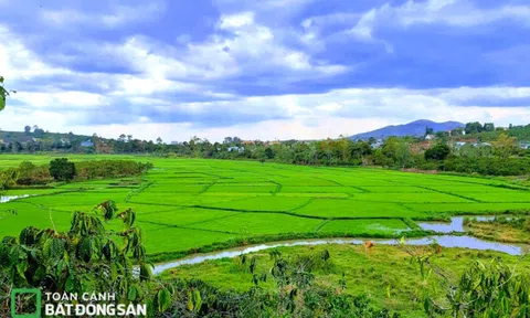 Lâm Đồng tạm ngưng tách thửa: Nhà đầu tư phản ứng thế nào?
