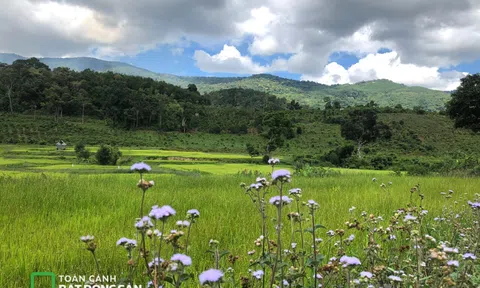 Đất mất 'duyên'