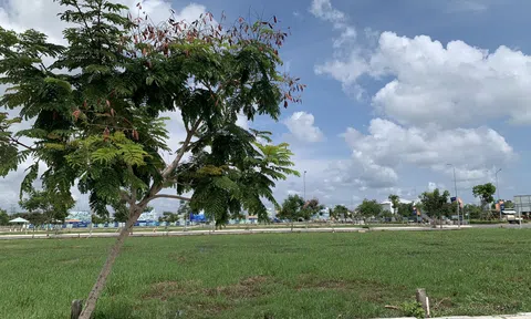 Có 1,5 tỷ tiền mặt thì mua được loại bất động sản nào? 