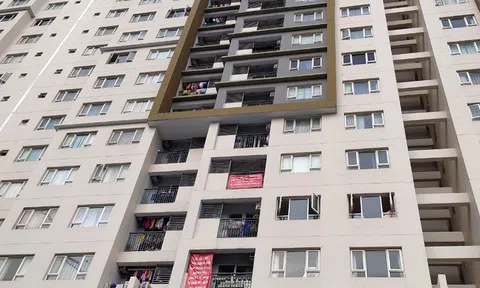 TP.HCM kiểm tra hoạt động của các đơn vị quản lý, vận hành chung cư