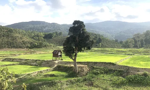 Nhà đầu tư bắt đầu thận trọng với bất động sản Lâm Đồng