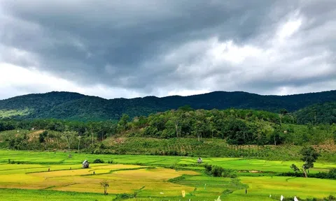 Bỏ phố về rừng: từ nhà đầu tư nhỏ đến các đại gia bất động sản 