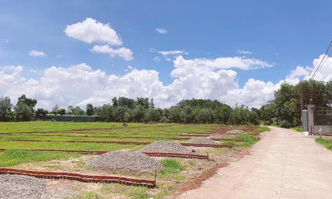 Kinh nghiệm đầu tư vốn thấp lời nhiều từ người trong cuộc 