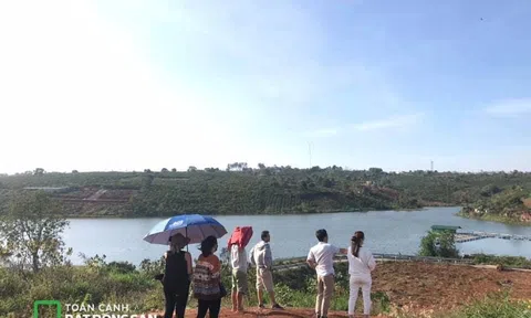 Khi môi giới chạm mặt cò đất