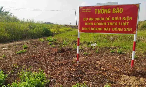 Vì sao cần phải thận trọng khi mua đất bằng giấy viết tay?