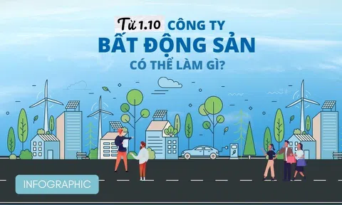 Từ 1-10 công ty bất động sản được làm gì?