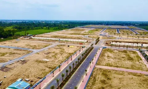 Trích lục đất là gì? Có nên mua đất chỉ có giấy trích lục? 