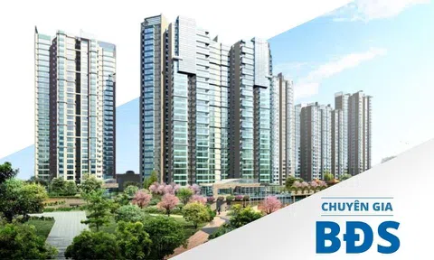 Chuyên gia bất động sản, họ là ai? 