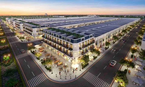 Rộ xu hướng người trẻ mua đất tiền tỷ làm của để dành