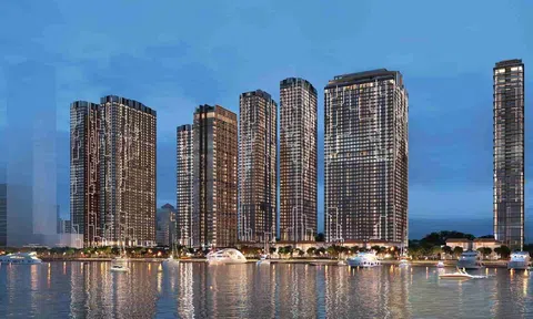 Hiểu thêm về Masterise Group