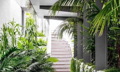 Những điều cần biết khi thiết kế tiểu cảnh rừng nhiệt đới