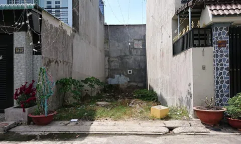 Đất lọt khe: có “dễ ăn” như lời đồn? 