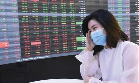 Cổ phiếu bất động sản "nằm sàn" la liệt do tin đồn