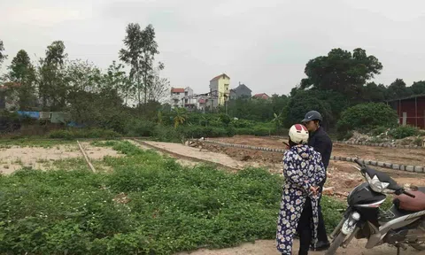 Cò đất là gì? Vì sao so sánh cò đất với môi giới bất động sản? 