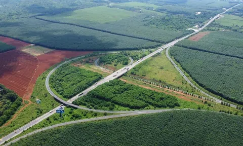Đáp ứng ‘ba thật’, đất nền Dầu Giây hút đầu tư