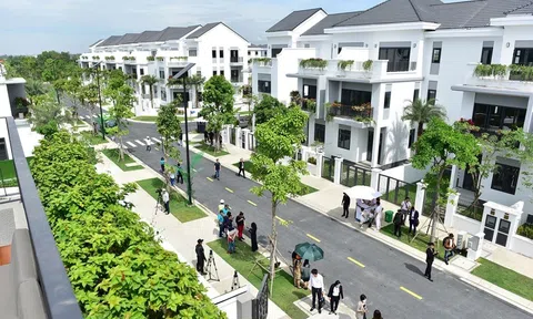 Sức sống bền bỉ của nhà phố, biệt thự