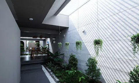 Làm mới không gian sống với đá ốp giếng trời 