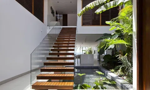 6 vị trí đặt cây trong nhà rước nhiều tài lộc