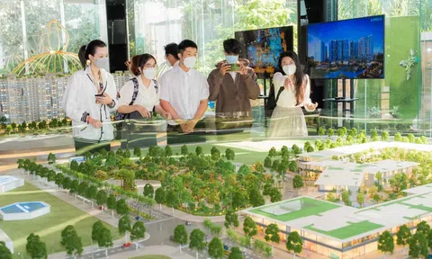 Thế nào là dự án có chính sách thanh toán tốt?