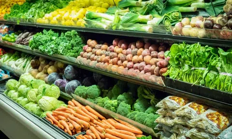 16 nhà cung cấp rau sạch uy tín tại TPHCM