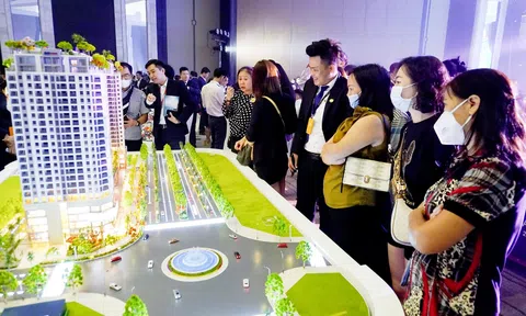 Ra mắt dự án căn hộ cao cấp kiểu mẫu tại TP Vũng Tàu