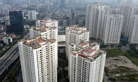 Bất động sản cho thuê trở thành 'kênh trú ẩn' dòng tiền