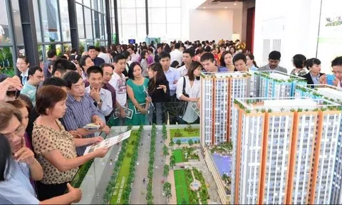 Cần làm gì khi chủ đầu tư phá sản?