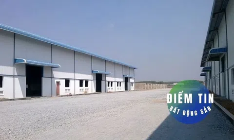 Điểm tin bất động sản 10/1: Bất động sản kho xưởng hạ nhiệt