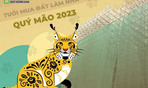 Những tuổi nào hợp làm nhà, mua đất năm Quý Mão