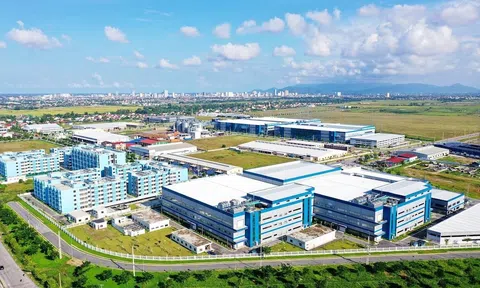 Năm bội thu của bất động sản công nghiệp
