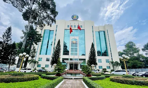 Đồng Nai có nhiều vi phạm quản lý đất đai